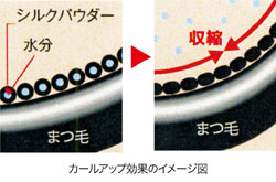 カールアップ効果のイメージ図